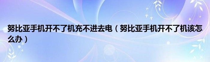 努比亞手機(jī)開不了機(jī)充不進(jìn)去電（努比亞手機(jī)開不了機(jī)該怎么辦）