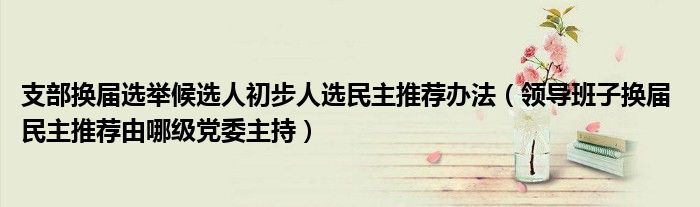 支部換屆選舉候選人初步人選民主推薦辦法（領(lǐng)導(dǎo)班子換屆 民主推薦由哪級(jí)黨委主持）