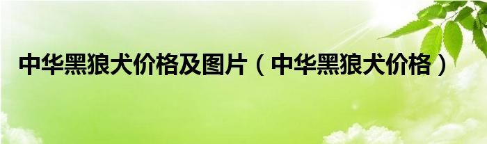 中華黑狼犬價(jià)格及圖片（中華黑狼犬價(jià)格）