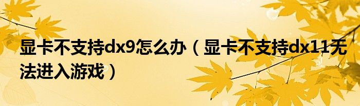 顯卡不支持dx9怎么辦（顯卡不支持dx11無(wú)法進(jìn)入游戲）