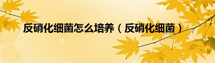 反硝化細(xì)菌怎么培養(yǎng)（反硝化細(xì)菌）