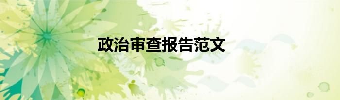 政治審查報告范文
