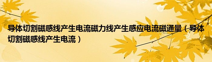 導(dǎo)體切割磁感線產(chǎn)生電流磁力線產(chǎn)生感應(yīng)電流磁通量（導(dǎo)體切割磁感線產(chǎn)生電流）