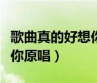 歌曲真的好想你原唱男女對唱（歌曲真的好想你原唱）