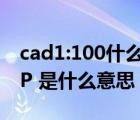 cad1:100什么意思（CAD圖中的 ldquo TYP 是什么意思）