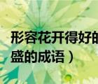 形容花開得好的成語有哪些（形容花開的正旺盛的成語）