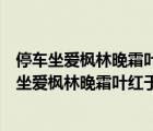 停車坐愛楓林晚霜葉紅于二月花的意思是什么三年級(jí)（停車坐愛楓林晚霜葉紅于二月花的意思）