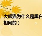 大熊貓為什么是黑白相間的?一個(gè)傳說（大熊貓為什么是黑白相間的）