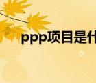 ppp項目是什么意思（ppp91 coean）
