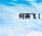 何賽飛（說一說何賽飛的簡介）