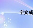 宇文成龍厲害（宇文成龍）