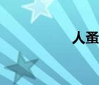 人蚤雌雄區(qū)別（人蚤）
