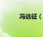 馮遠(yuǎn)征（說一說馮遠(yuǎn)征的簡(jiǎn)介）