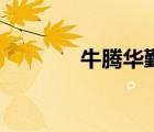 牛騰華勤集團(tuán)董事長(zhǎng)（牛騰）
