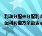 利潤分配未分配利潤借方余額反映的是什么（利潤分配未分配利潤借方余額表示什么）