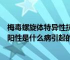 梅毒螺旋體特異性抗體陽性的意義（梅毒螺旋體特異性抗體陽性是什么病引起的）