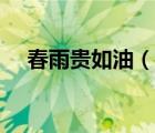 春雨貴如油（說一說春雨貴如油的簡介）
