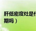 肝低密度灶是什么意思（肝低密度灶就是癌早期嗎）