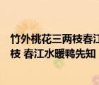 竹外桃花三兩枝春江水暖鴨先知是什么季節(jié)（竹外桃花三兩枝 春江水暖鴨先知）