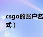 csgo的賬戶名稱要填什么（csgo賬戶名稱格式）