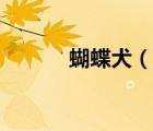 蝴蝶犬（說一說蝴蝶犬的簡介）