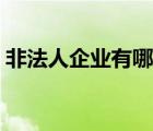非法人企業(yè)有哪些公司（非法人企業(yè)有哪些）