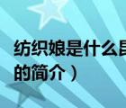 紡織娘是什么昆蟲（說一說紡織娘是什么昆蟲的簡介）
