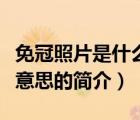 免冠照片是什么意思（說一說免冠照片是什么意思的簡介）