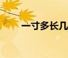 一寸多長幾厘米怎么算（一寸多長）