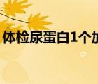 體檢尿蛋白1個加號（尿蛋白1個加號嚴(yán)重嗎）