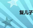 復(fù)兒子書(shū)翻譯（復(fù)兒子書(shū)）
