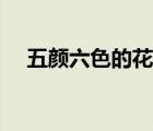五顏六色的花卡通圖片（五顏六色的花）