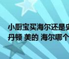 小廚寶買海爾還是史密斯（小廚寶哪種牌子好  史密斯 阿詩(shī)丹頓 美的 海爾哪個(gè)好）
