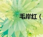 毛岸紅（說一說毛岸紅的簡介）
