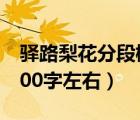 驛路梨花分段概括（概括驛路梨花主要內容200字左右）