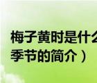 梅子黃時是什么季節(jié)（說一說梅子黃時是什么季節(jié)的簡介）