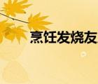 烹飪發(fā)燒友版本（烹飪發(fā)燒友pc版）