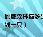 挪威森林貓多少錢一只家養(yǎng)（挪威森林貓多少錢一只）
