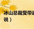 冰山總裁受帶道具上班（冰山受含道具耽美小說）