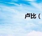 盧比（說一說盧比的簡(jiǎn)介）