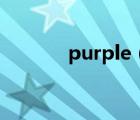 purple（purple是什么顏色）