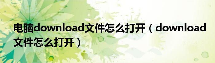 電腦download文件怎么打開（download文件怎么打開）