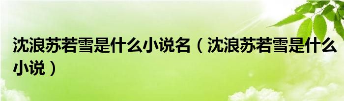沈浪蘇若雪是什么小說名（沈浪蘇若雪是什么小說）