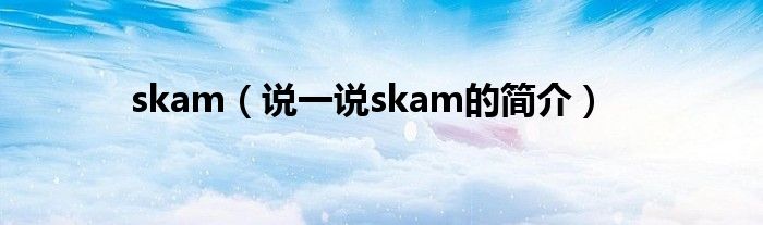 skam（說一說skam的簡介）