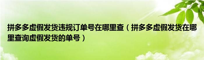 拼多多虛假發(fā)貨違規(guī)訂單號(hào)在哪里查（拼多多虛假發(fā)貨在哪里查詢虛假發(fā)貨的單號(hào)）