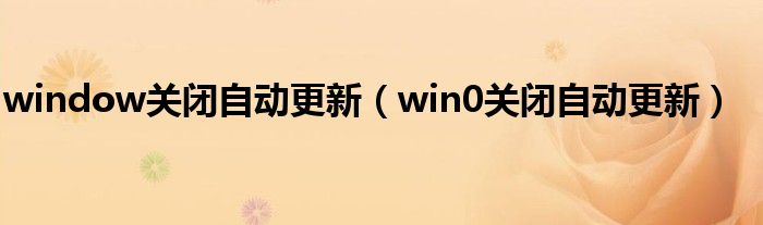 window關(guān)閉自動更新（win0關(guān)閉自動更新）