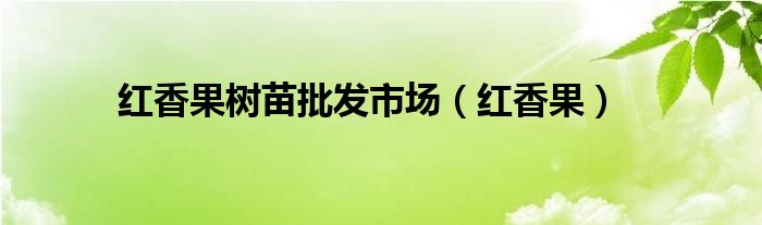 紅香果樹(shù)苗批發(fā)市場(chǎng)（紅香果）