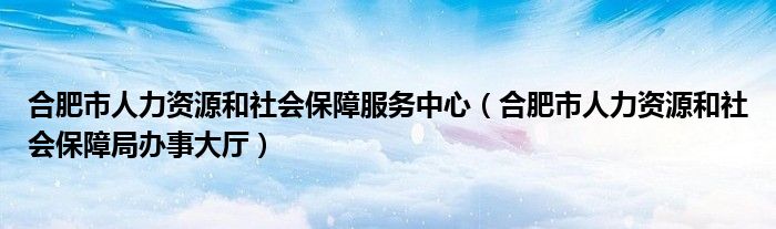 合肥市人力資源和社會保障服務(wù)中心（合肥市人力資源和社會保障局辦事大廳）