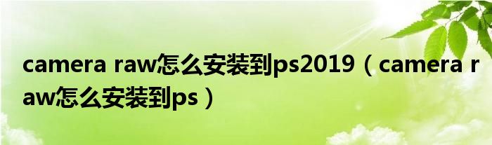 camera raw怎么安裝到ps2019（camera raw怎么安裝到ps）