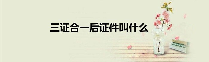 三證合一后證件叫什么